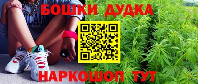 прущие крисы Новокубанск